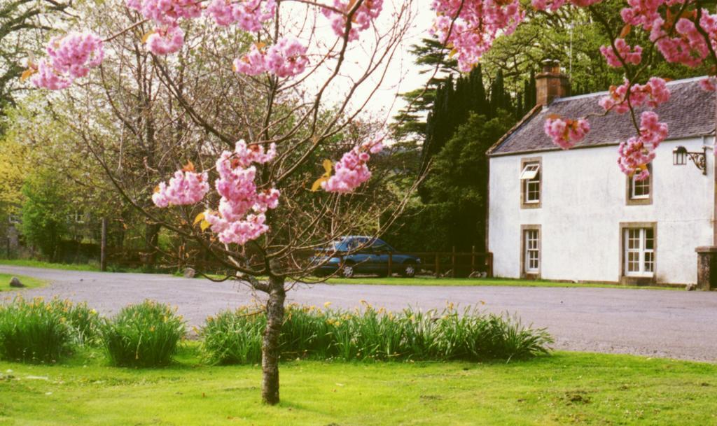 Inverawe Cottages Taynuilt Phòng bức ảnh
